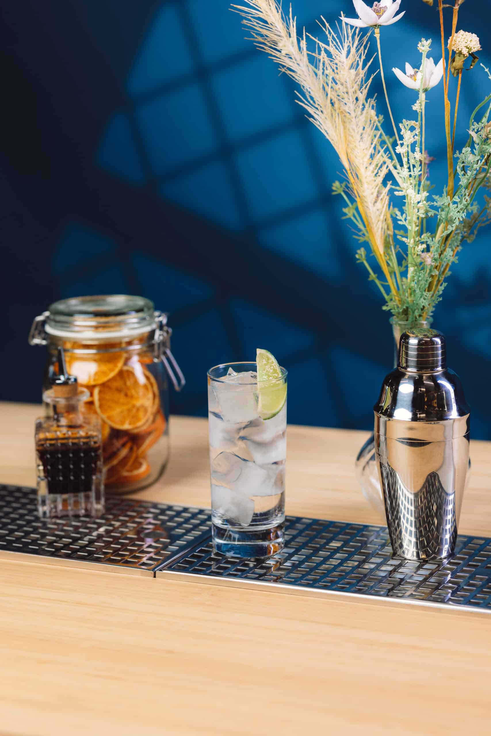 gin-and-tonic gin gin mule